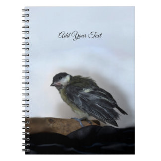 Tidi my Bird the Parus Major Notebook