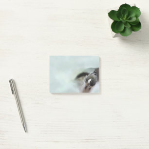 Tidi my Bird the Parus Major Post-it Notes
