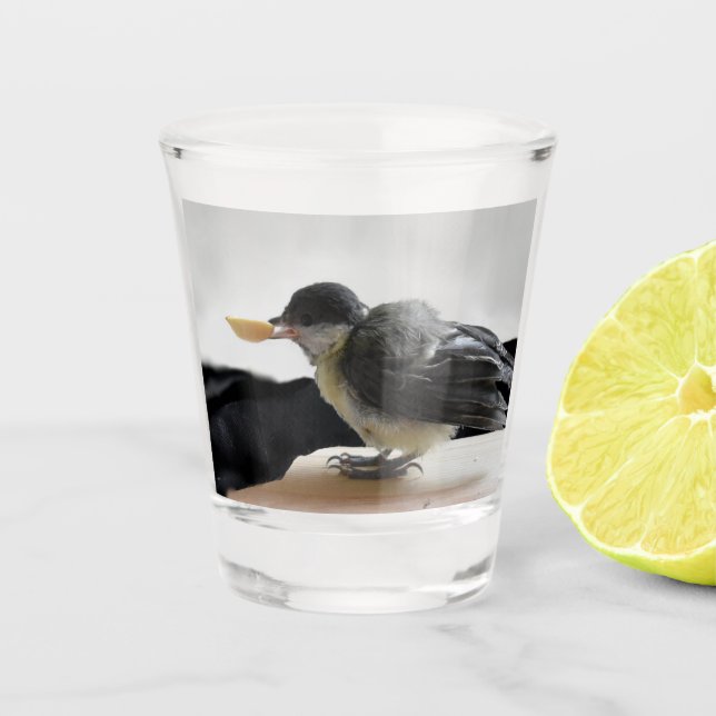 Tidi my Bird the Parus Major Shot Glass (Front)
