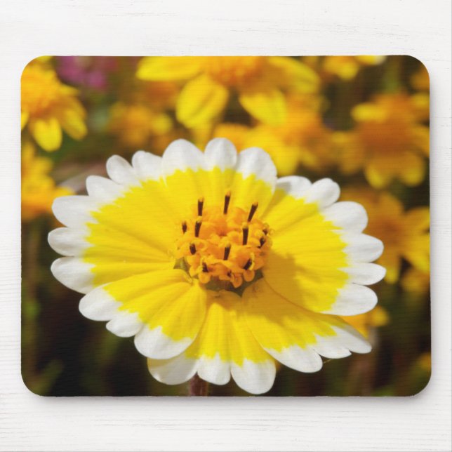 Tidy Tip Wildflowers Mouse Pad (Front)