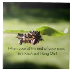 "Tie a Knot and Hang On" Decrotive Ceramic Tile