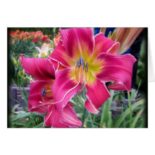 Tie Dye Twister - Daylily