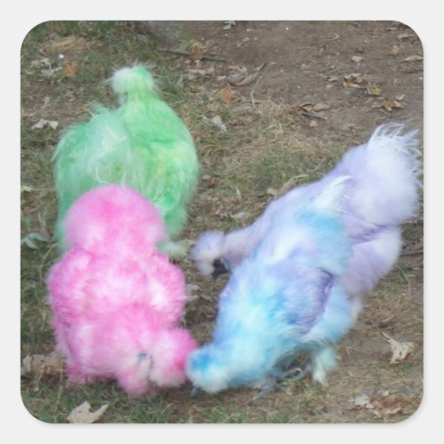 Tie Dyed Silkie Chickens in Pastel Easter Colours Square Sticker (Front)