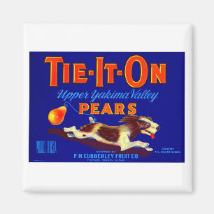 Tie-It-On Pears Magnet