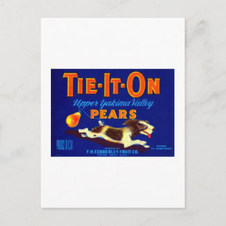 Tie It On Pears Postcard