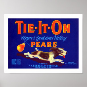 Tie-It-On Pears Poster