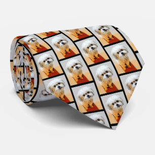 Tied Malshi Chien Carreaux Cravate
