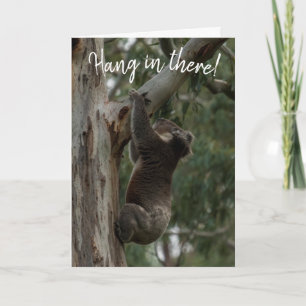 Tiens bon ! Carte Koala Australie