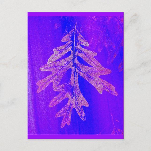 Tiferet Sh'b'tiferet Postcard (Front)