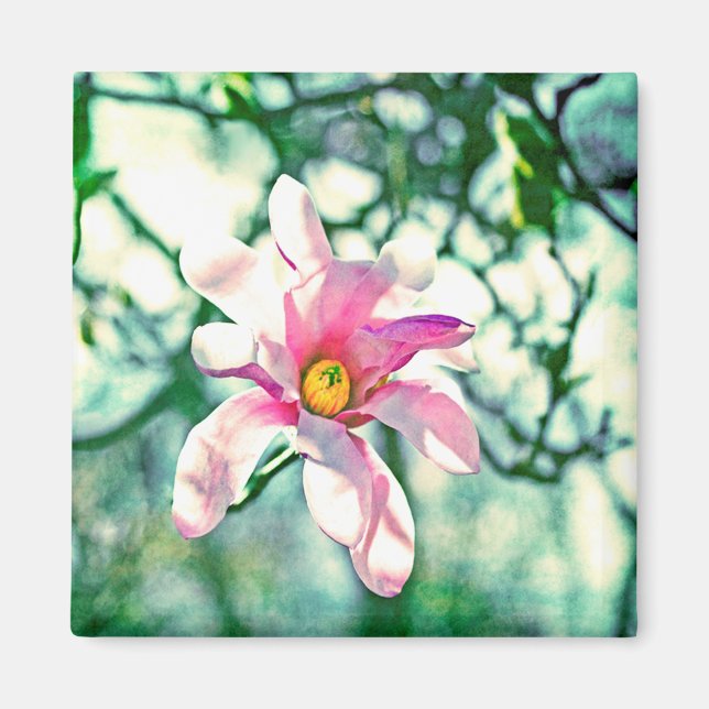 Tiffany Magnolia Magnet (Front)