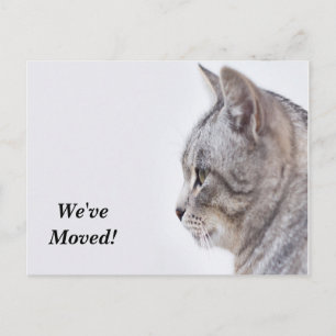 Tiffany Nous avons déménagé Nouvelle Adresse Carte