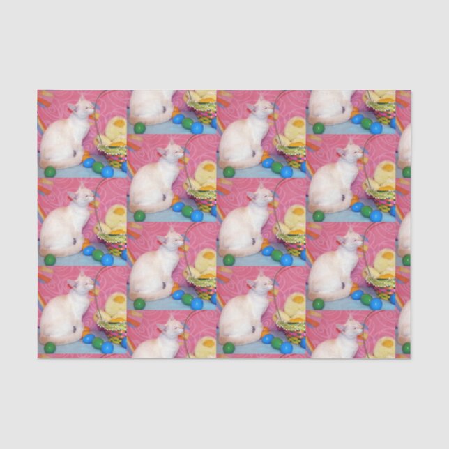 Tiffany's Easter - Siamese Cat Tissue Paper (Front)