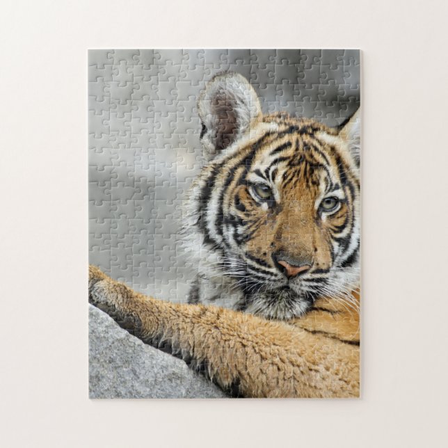 Tiger016 Jigsaw Puzzle (Vertical)