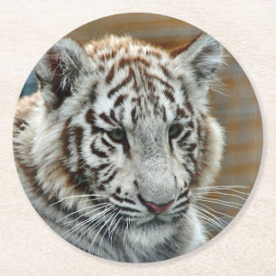 Tiger20151001 Round Paper Coaster