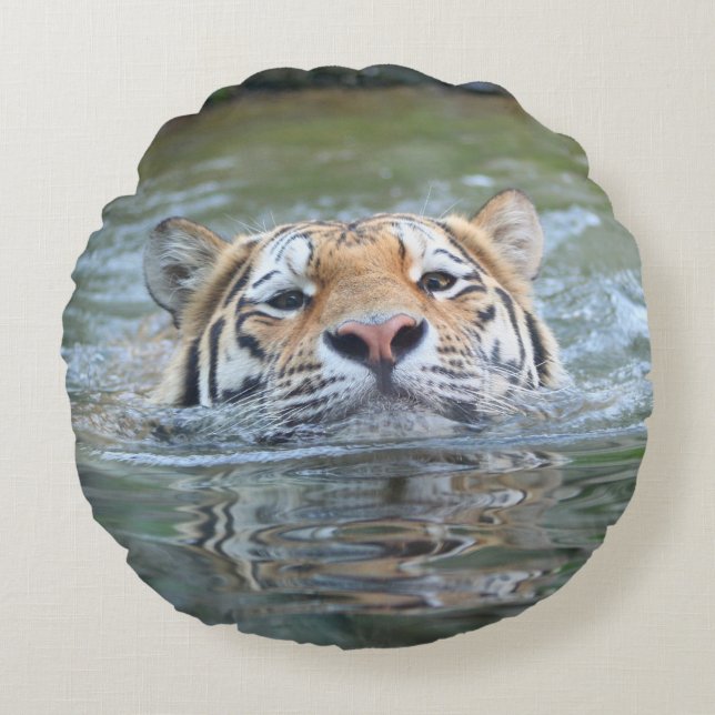 Tiger20160201 Round Pillow (Front)