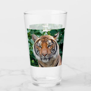 Tiger 001 glass