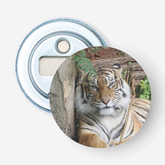Tiger 005 bottle opener (Front)