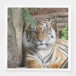 Tiger 005 napkin