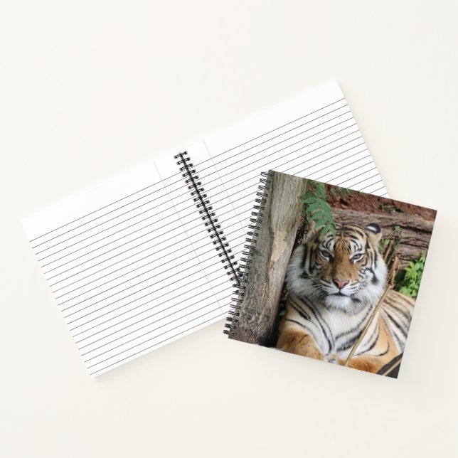 Tiger 005 notebook (Inside)