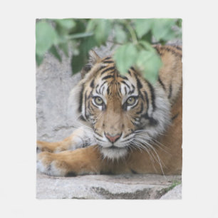 Tiger 008 fleece blanket