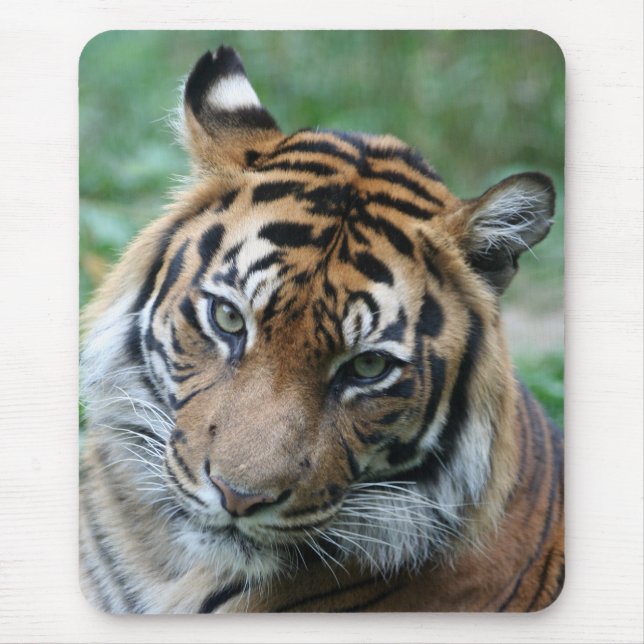 Tiger 013 mouse pad (Front)