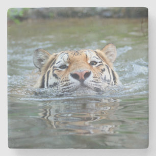 Tiger 028 stone coaster