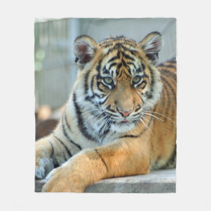 Tiger 034 fleece blanket
