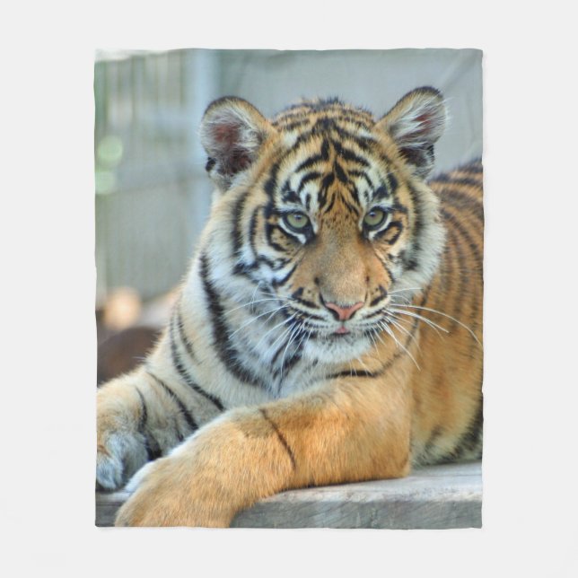 Tiger 034 fleece blanket (Front)