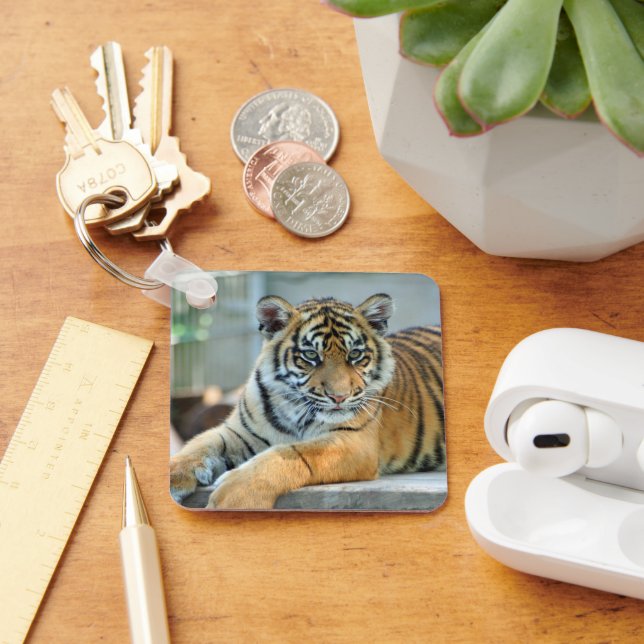 Tiger 034 keychain (Desk)