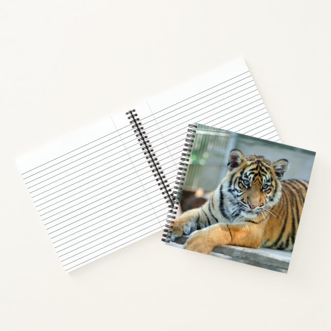 Tiger 034 notebook (Inside)