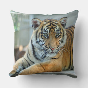 Tiger 034 throw pillow