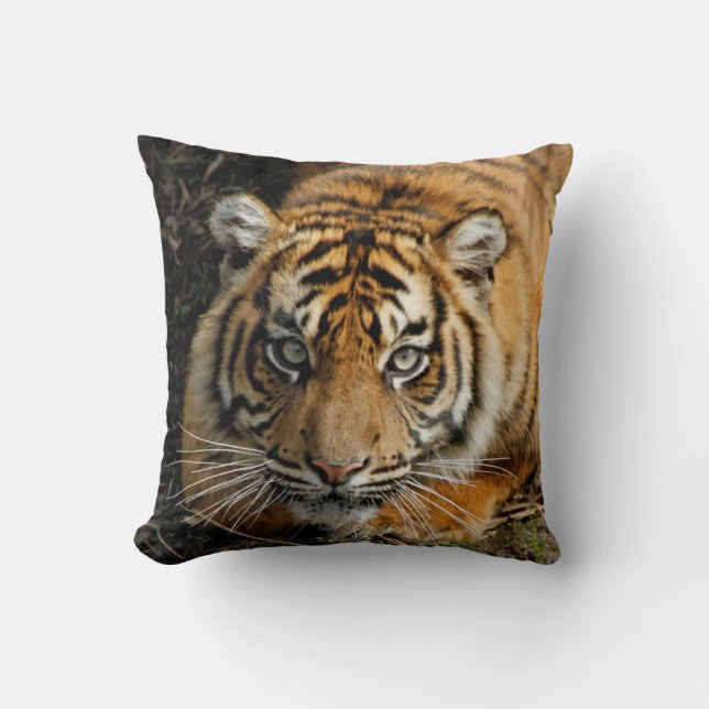 Tiger 037 throw pillow (Front)