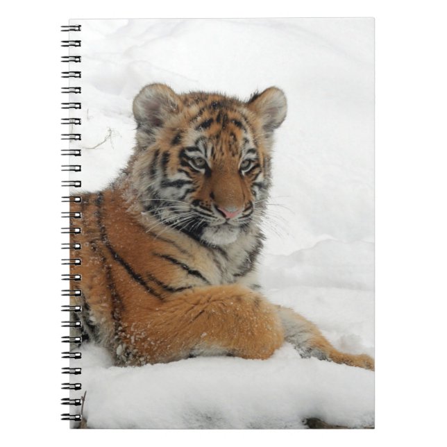 Tiger_2015_0102 Notebook (Front)