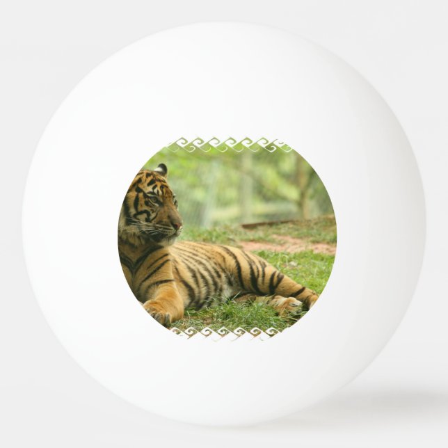 tiger-28 ping pong ball (Front)