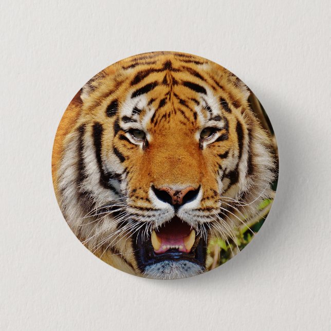 Tiger 2 Inch Round Button (Front)
