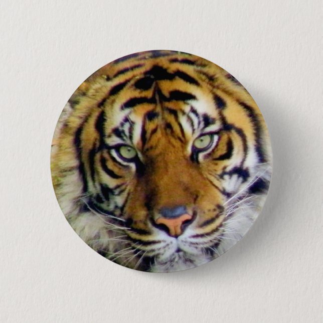 Tiger_ 2 Inch Round Button (Front)