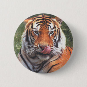 Tiger 2 Inch Round Button