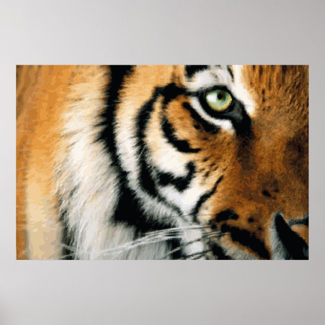 Tiger 2 - Poster (Front)