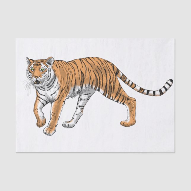 Tiger 2 tissue paper (Front)