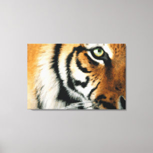 Tiger 2 - Wrapped Canvas