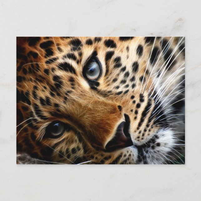 Tiger 3 - Carte postale (Devant)