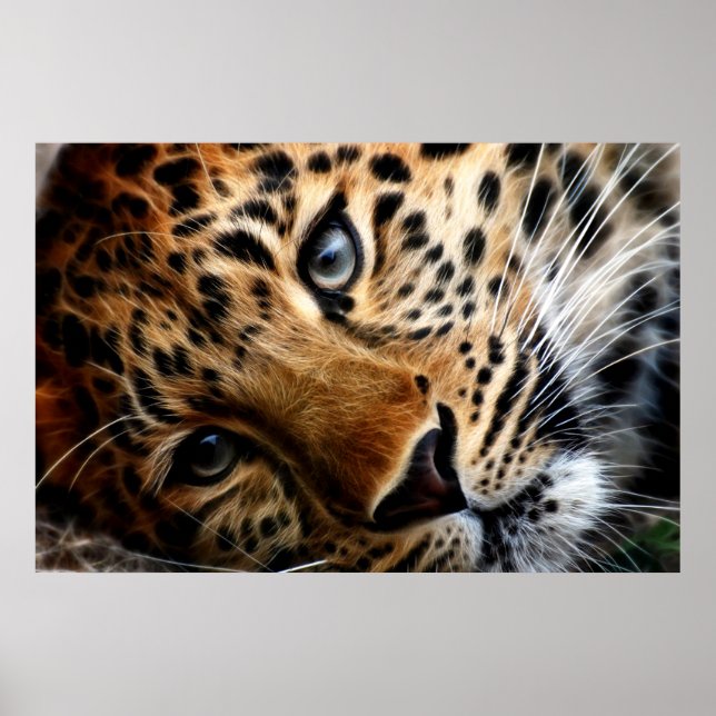 Tiger 3 - Poster (Front)