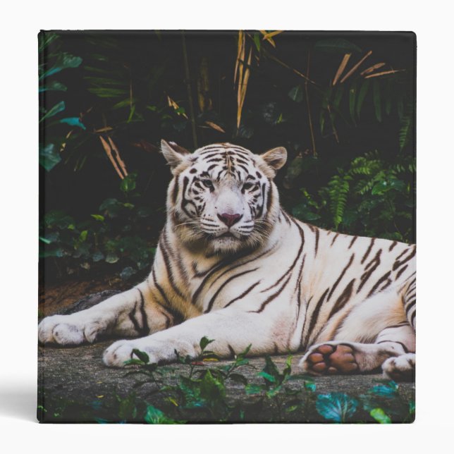 Tiger 3 Ring Binder (Front)