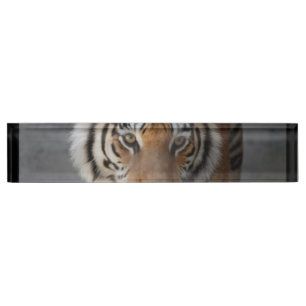 tiger-54 nameplate