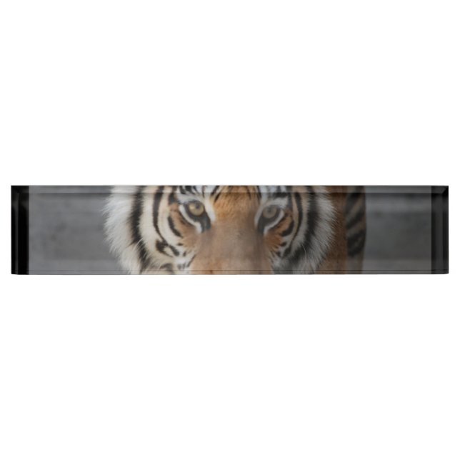 tiger-54 nameplate (Front)