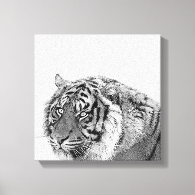 Tiger african animal photo black and white canvas print (Front)