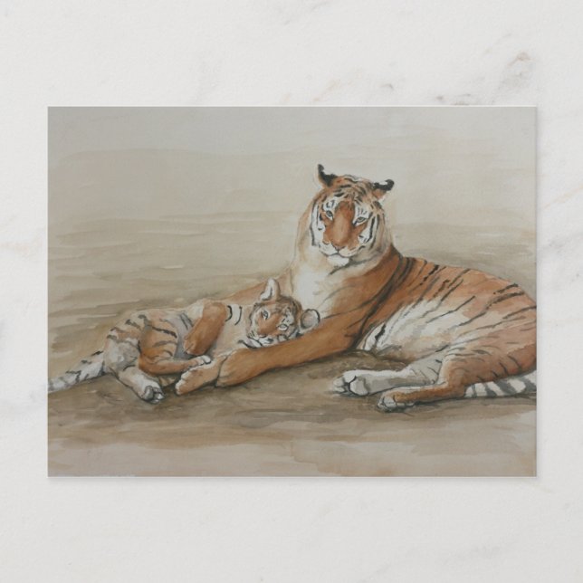 Tiger and Cub Cat Art Postcard (Front)