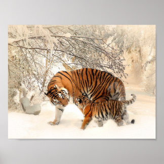 Tiger and cub in snow poster