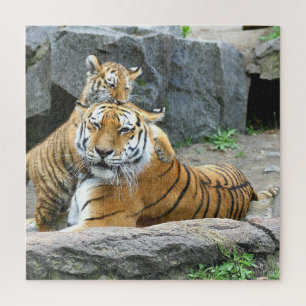 Tiger And Cub Love Jigsaw Puzzle