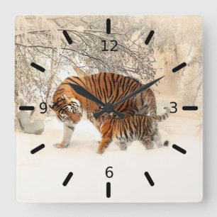 Tiger And Cub Square Wall Clock